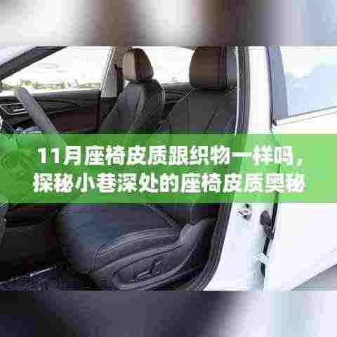 探秘座椅皮质奥秘,皮质与织物的十一月邂逅之旅
