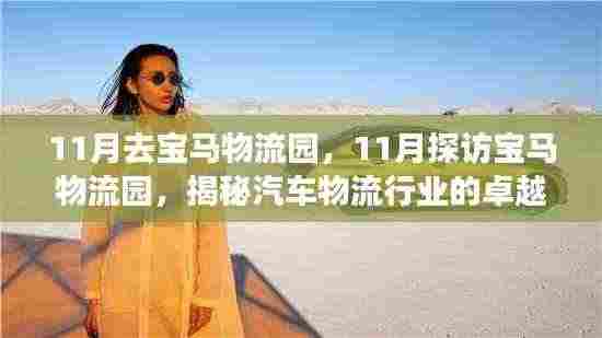 揭秘汽车物流行业卓越之道,探访宝马物流园之旅(11月探访篇)