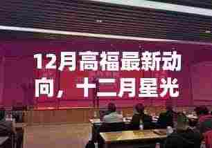 高福十二月最新动向,新征程引领向自信成就的未来