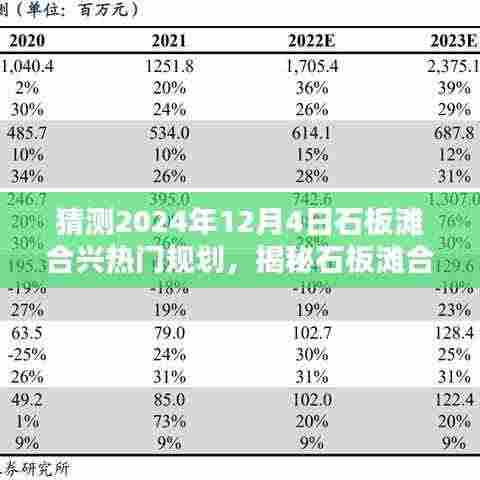 揭秘石板滩合兴未来规划,小巷深处的独特风味秘境与热门规划展望(2024年12月4日)