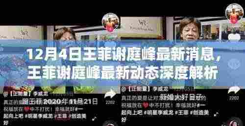 王菲谢庭峰最新动态揭秘，特性、体验、竞品对比及用户群体深度分析