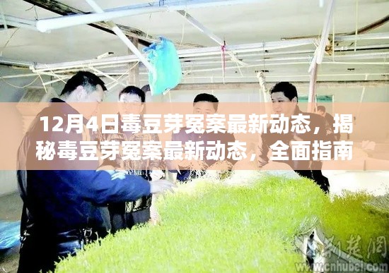 毒豆芽冤案最新进展揭秘，全面指南助你应对