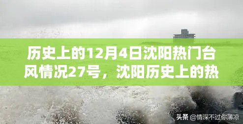 沈阳历史上的台风应对指南,以12月4日热门台风为例,深度解析与应对技能进阶篇
