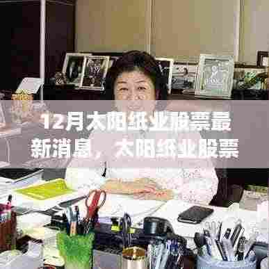 太阳纸业股票动态，行业地位探析及最新消息