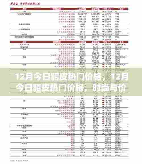 12月貂皮热门价格,时尚与价值交汇的最新动态
