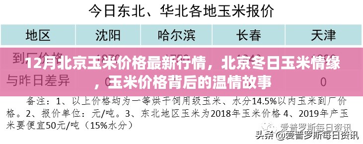 北京冬季玉米行情揭秘,价格背后的温情故事