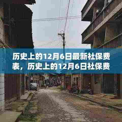 寻找心灵宁静的社保变迁之旅，历史上的12月6日社保费变迁与自然探险喜剧