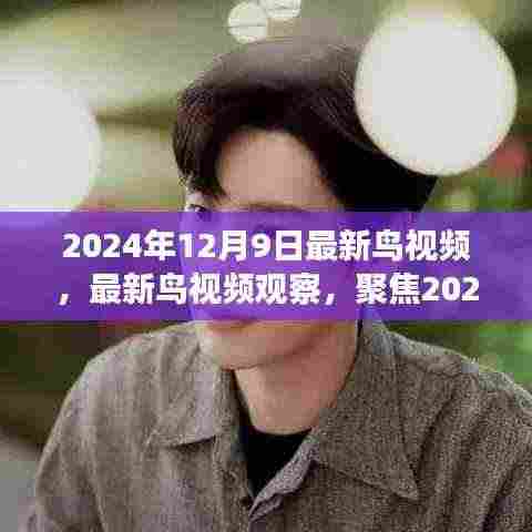 2024年12月9日最新鸟视频观察与分析,聚焦最新发现与我的观点