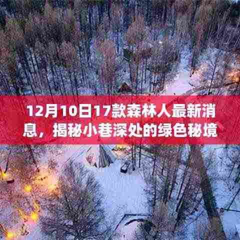 揭秘绿色秘境,森林人新品探秘之旅(最新消息更新)