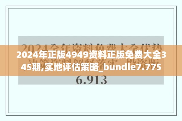 2024年正版4949资料正版免费大全345期,实地评估策略_bundle7.775