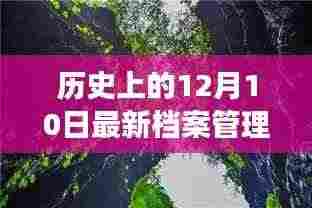 12月10日历史档案之旅,探寻自然美景,拥抱内心宁静的奇妙之旅