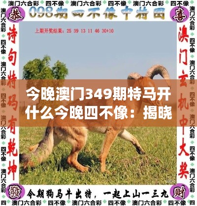 今晚澳门349期特马开什么今晚四不像:揭晓神秘的夜晚