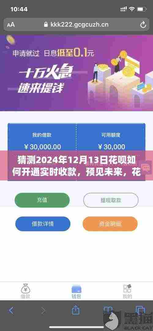 预见未来,花呗开通实时收款蓝图及影响洞察(2024年花呗实时收款趋势展望)