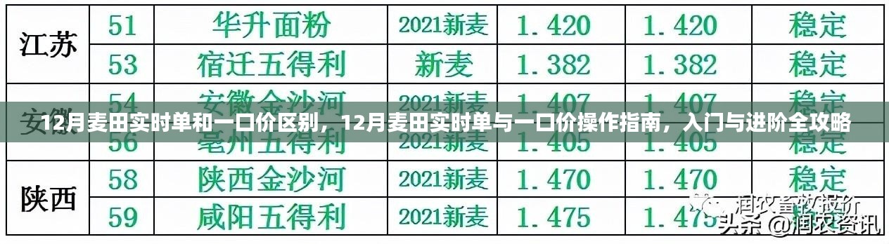 12月麦田实时单与一口价详解,操作指南与攻略大全