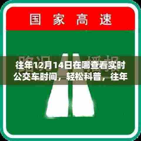 往年12月14日在线实时查看公交车时间，一站式解决方案轻松科普