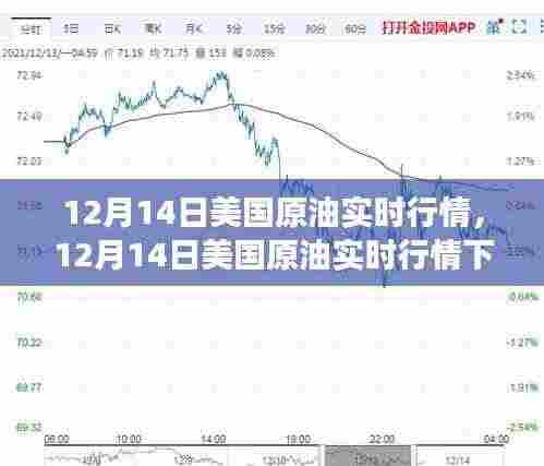 12月14日美国原油实时行情解析,市场洞察与个人观点
