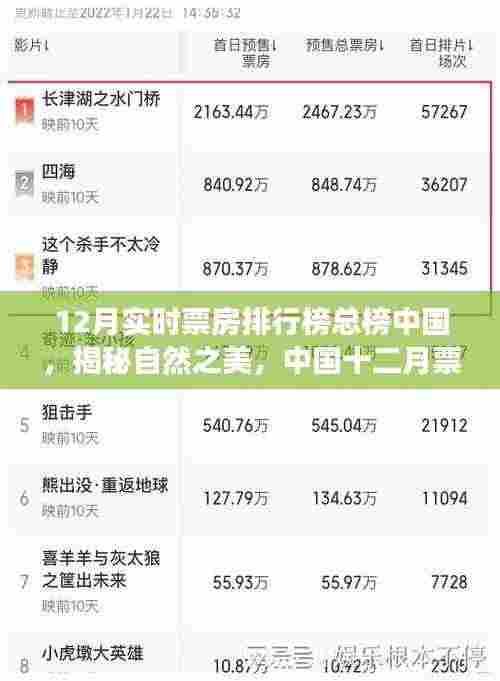 中国十二月票房巅峰之旅,自然之美与微笑的秘密港湾