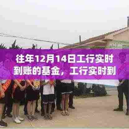 工行实时到账基金,学习变化的力量,筑梦成就之路