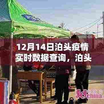 泊头疫情实时数据查询系统评测与介绍,最新数据深度解读