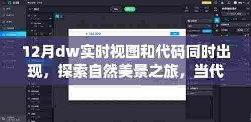 十二月奇妙时刻,代码与自然美景的交融之旅