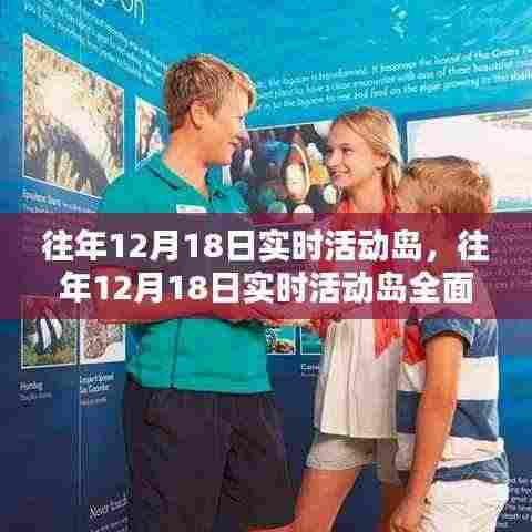 往年12月18日实时活动岛，全面评测与详细介绍