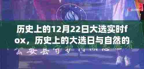 历史上的大选日与自然对话，寻找内心平静的奇妙之旅当日焦点回顾福克斯实时报道