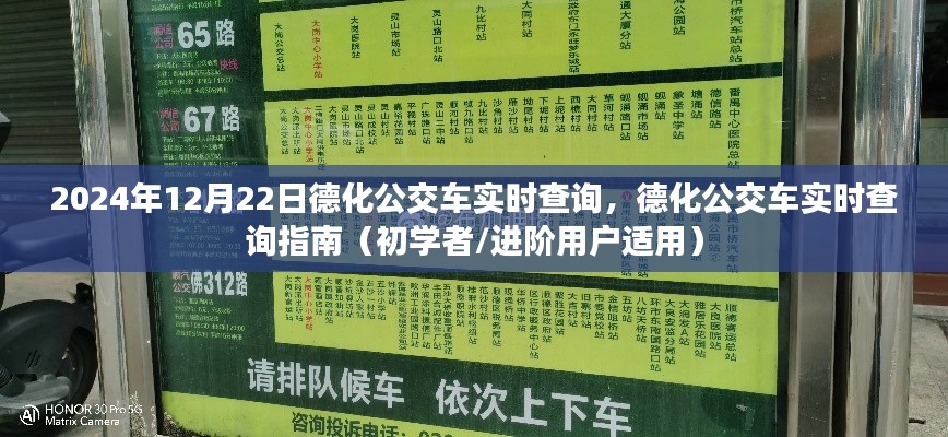 德化公交车实时查询指南,初学者与进阶用户适用(2024年12月版)