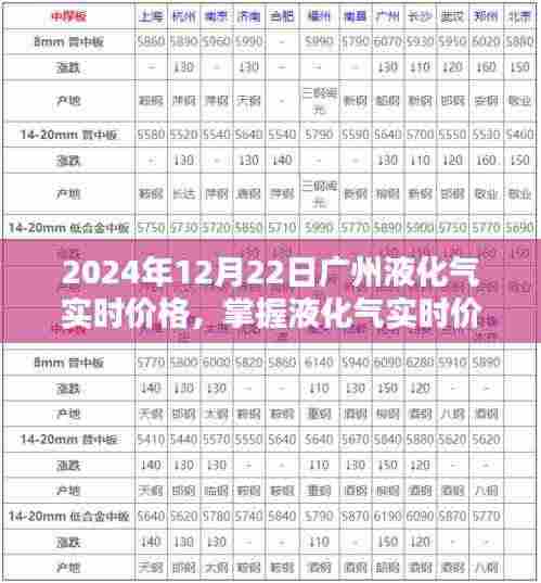 广州液化气实时价格指南，掌握查询技巧，初学者与进阶用户必备知识（2024年12月22日）
