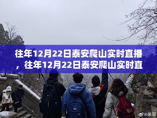 泰安爬山体验与挑战,实时直播下的选择,哪种更值得提倡?