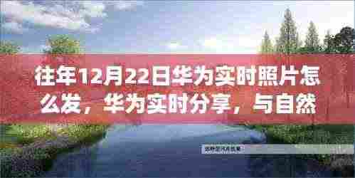 华为实时分享,与自然美景的邂逅,探索宁静之旅的实时照片分享之道