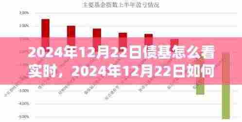 步步为赢策略指南，解读债基市场动态与实时查看债基走势的实用指南（2024年12月22日）