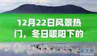 冬日暖阳下的奇妙探险之旅,启程于风景热门的内心平静之旅(12月22日)