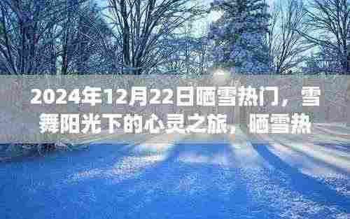 雪舞阳光下的心灵之旅,启程追寻内心的宁静与平和(晒雪热门)