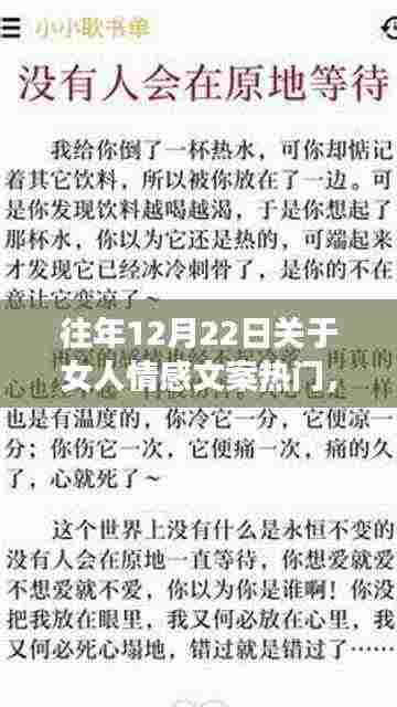 历年十二月二十二日女性情感文案深度解读,探寻背后的意义与争议