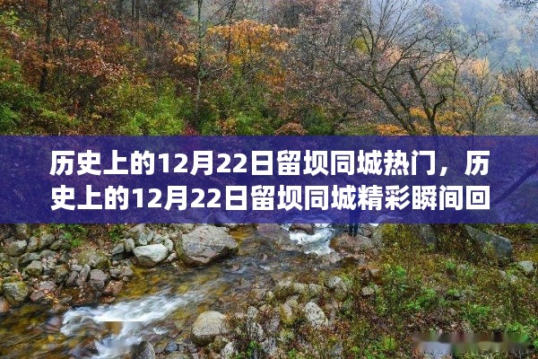 历史上的12月22日留坝同城精彩瞬间回顾与热门事件🌟