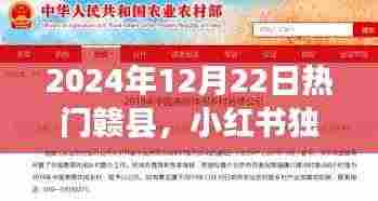 噩噩浑浑 第4页