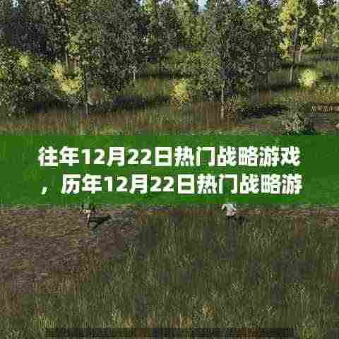 历年12月22日战略游戏的深度解析与我的观点分享