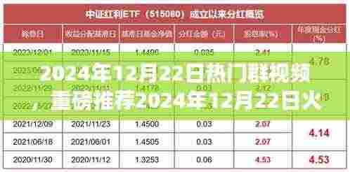2024年12月22日火爆群视频盛宴，视觉狂欢，不容错过