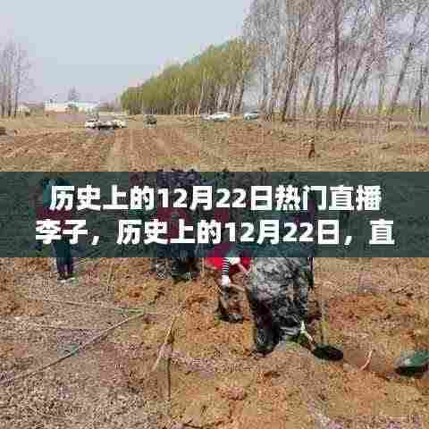 历史上的12月22日直播李子热潮,兴起与传承