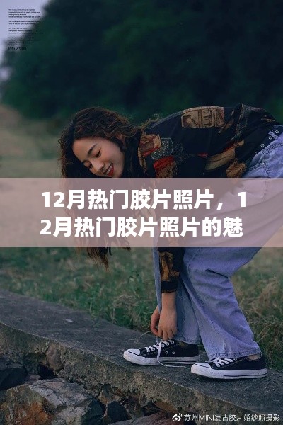 深入探究,12月热门胶片照片的魅力与价值——某某观点解析