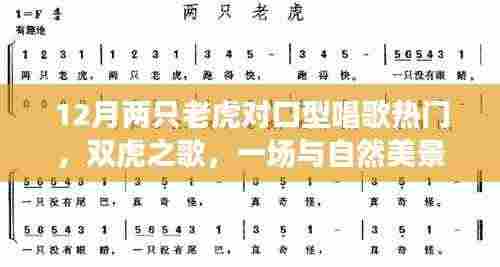 双虎之歌,与自然美景的邂逅,唤醒内心的平静之旅