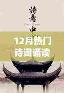 十二月诗词诵读特色小店,深巷中的诗意栖息