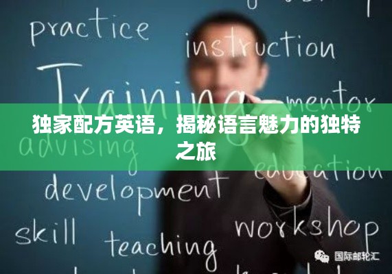 独家配方英语,揭秘语言魅力的独特之旅