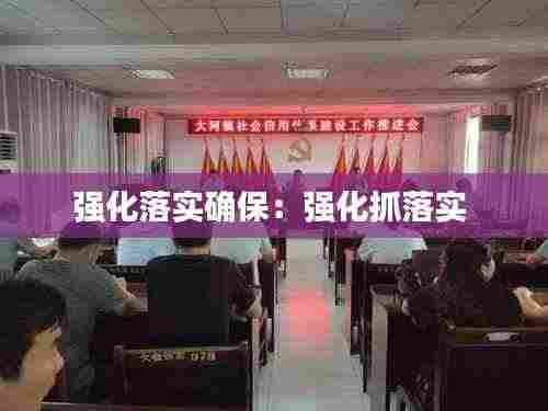 强化落实确保:强化抓落实