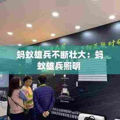 蚂蚁雄兵不断壮大:蚂蚁雄兵照明