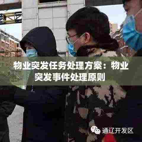 物业突发任务处理方案:物业突发事件处理原则