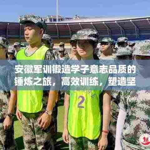 安徽军训锻造学子意志品质的锤炼之旅,高效训练,塑造坚韧品质