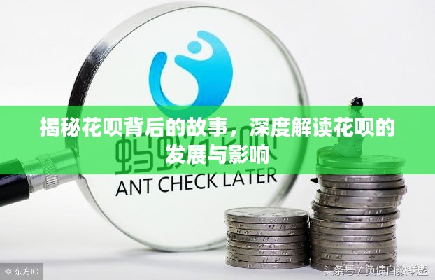揭秘花呗背后的故事,深度解读花呗的发展与影响