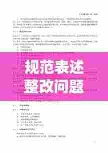 规范表述整改问题:改进规范