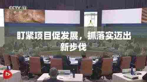 盯紧项目促发展,抓落实迈出新步伐